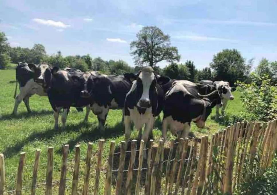 Villa Statige Boerderijwoning Met Vrij Uitzicht En Tuin Hoogzand Exterior foto