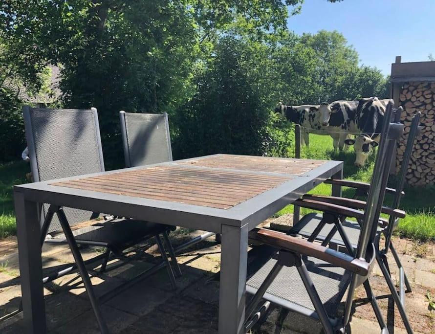 Villa Statige Boerderijwoning Met Vrij Uitzicht En Tuin Hoogzand Exterior foto